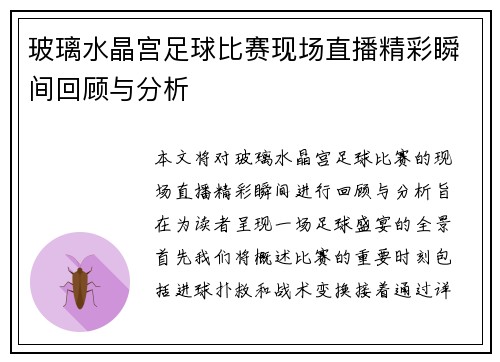 玻璃水晶宫足球比赛现场直播精彩瞬间回顾与分析